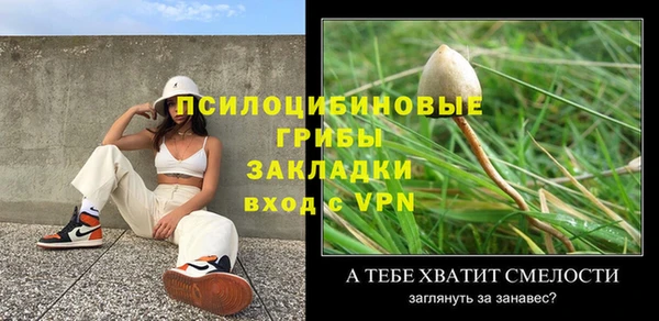 МДПВ Алексин