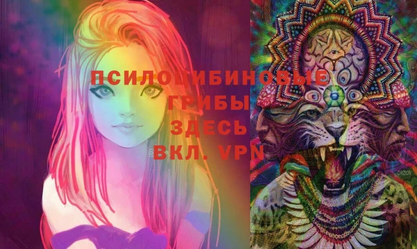 кокс Алексеевка