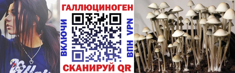 Галлюциногенные грибы Psilocybine cubensis  сайты даркнета какой сайт  Татарск 
